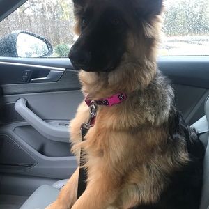 Meet your Posher, Debra